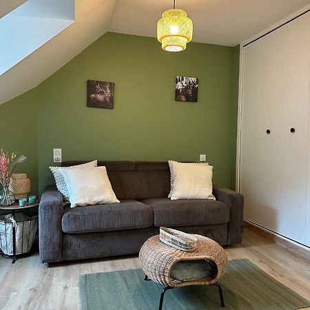 Bagnères-de-Luchon Les Meubles De Luchon - L'Echappee Verte - Centre Luchon, Calme, Wifi מראה חיצוני תמונה